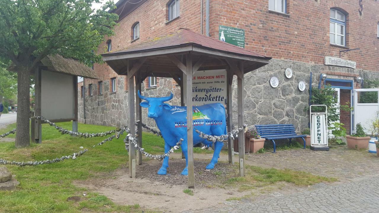 Ferienwohnung Finja In Putgarten, Kap Arkona Ruegen Esterno foto