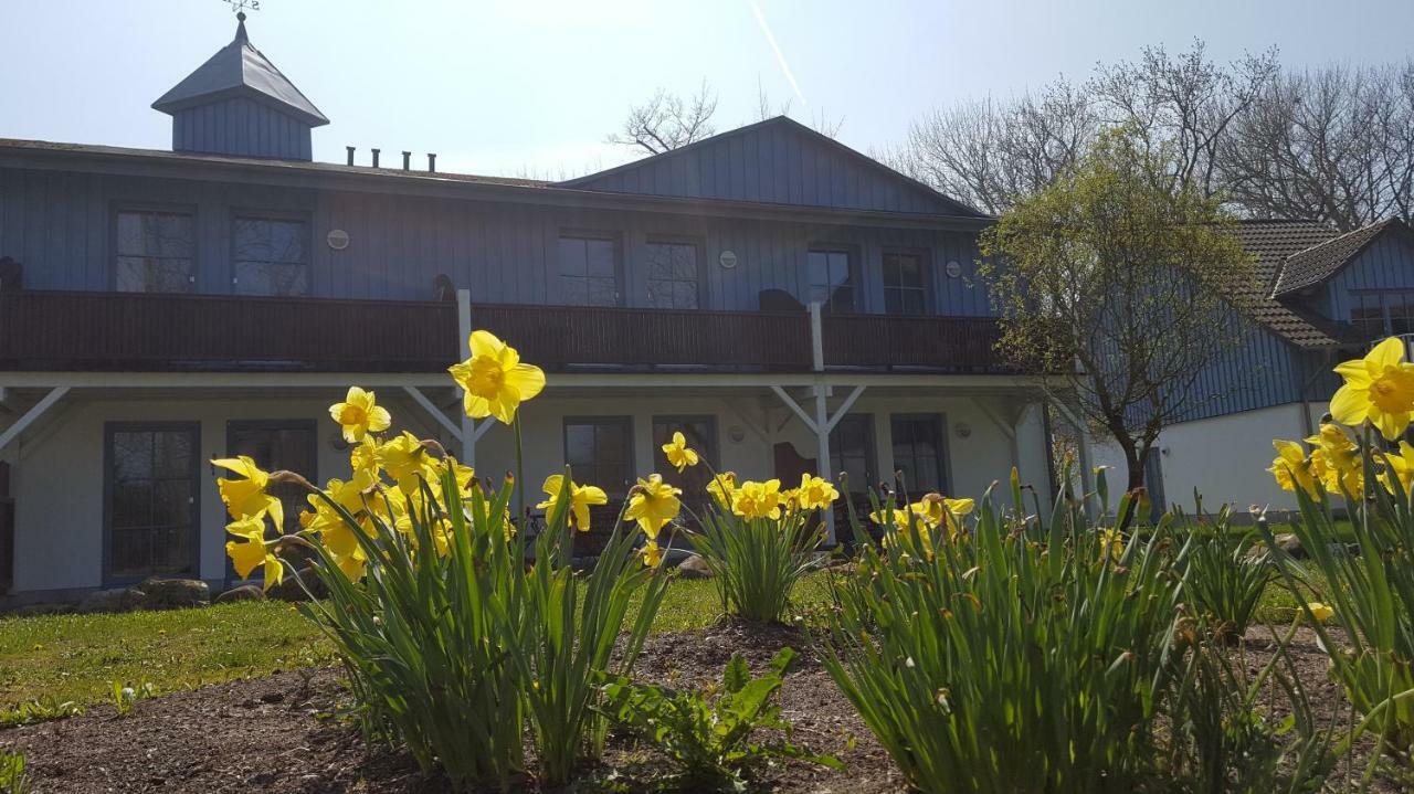 Ferienwohnung Finja In Putgarten, Kap Arkona Ruegen Esterno foto
