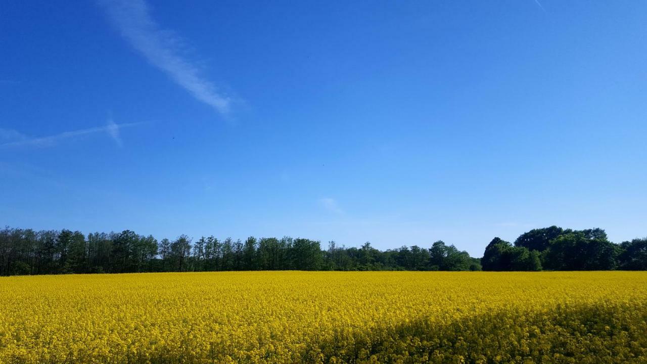 Ferienwohnung Finja In Putgarten, Kap Arkona Ruegen Esterno foto