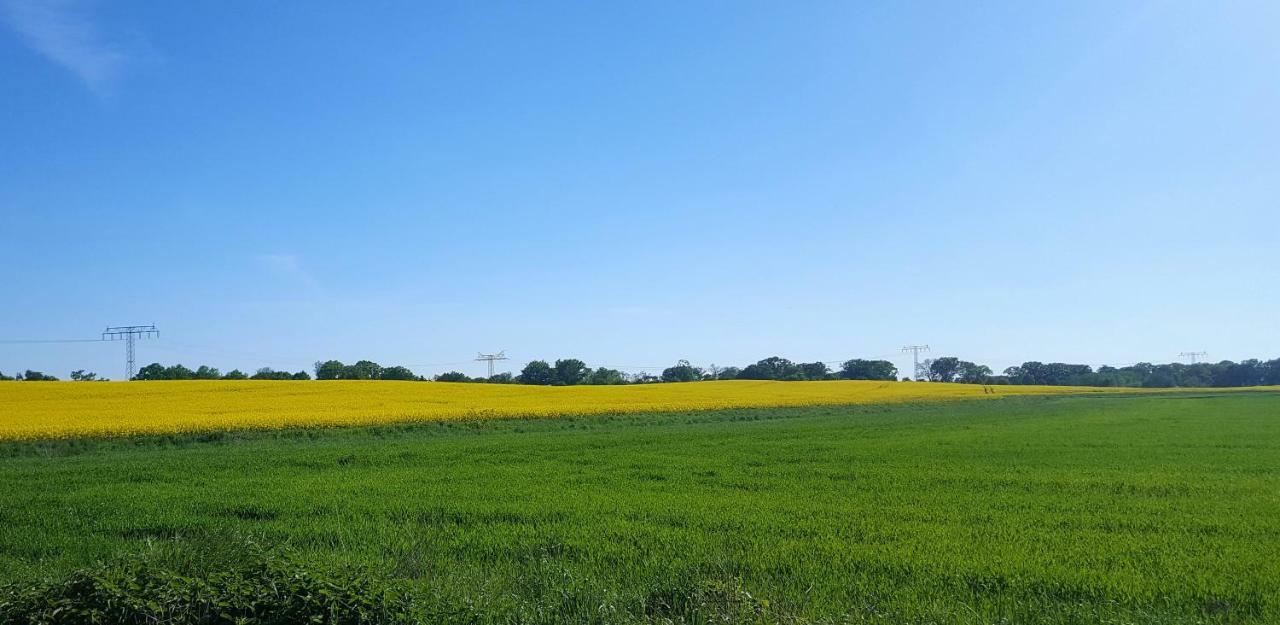 Ferienwohnung Finja In Putgarten, Kap Arkona Ruegen Esterno foto